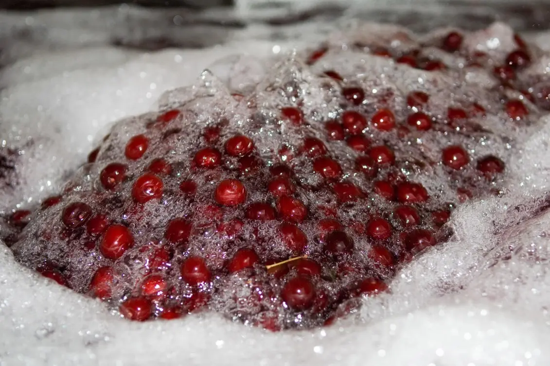 Recupero sostenibile di sostanze bioattive dalle acque reflue dell’industria delle amarene