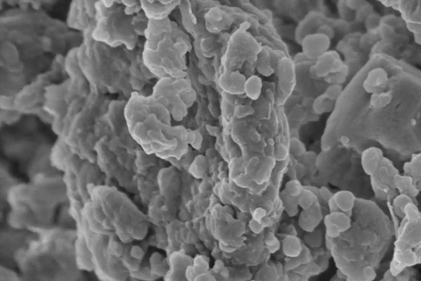 Coatings commestibili per prolungare la conservazione delle ciliegie