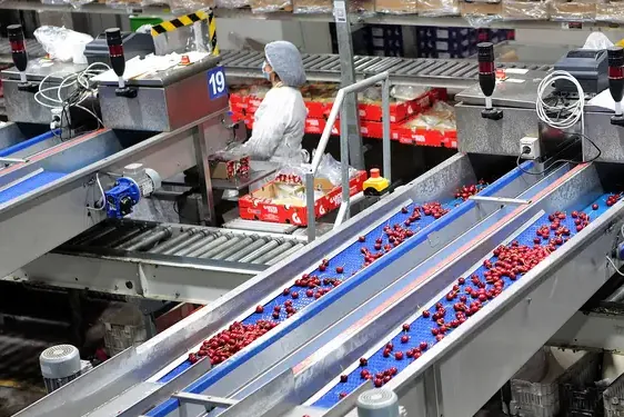 Prendersi cura di sé: concetto chiave o responsabilità mal delegata? La stagione delle ciliegie fornisce la risposta