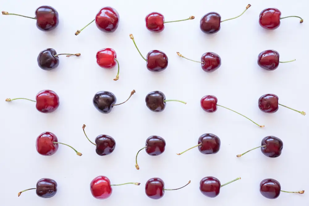 Cherry CO: a public dataset for cherry detection and segmentation