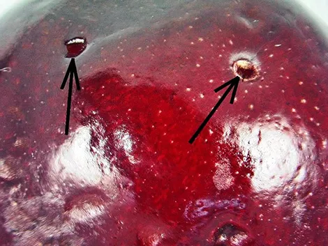 Biotechnological innovations in the control of Drosophila suzukii: techniques and perspectives