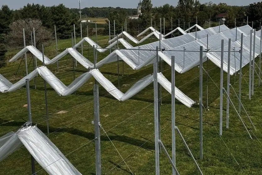 Ciliegie sotto copertura: tetti retrattili per proteggere i frutteti dal clima estremo
