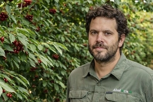 Raimundo Cuevas: "L'industria delle ciliegie è entrata in una nuova era e non tutti i frutteti sopravvivranno"