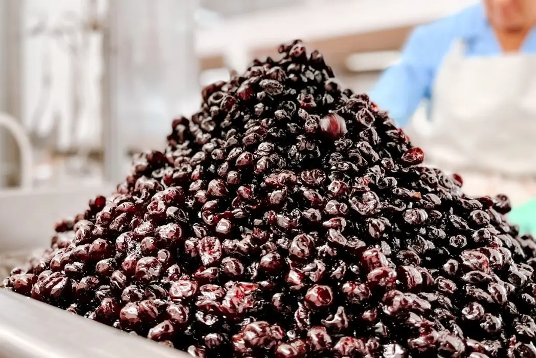 Toschi Vignola leads Southern Italy with 51% Amarena share