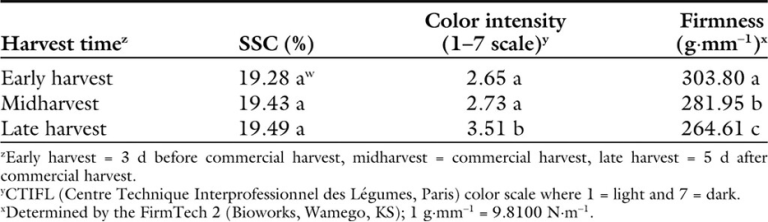 Consistenza delle ciliegie Burlat in Afghanistan