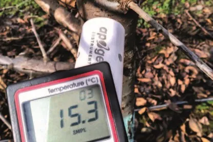 Figura 3 - Temperatura superficiale degli alberi