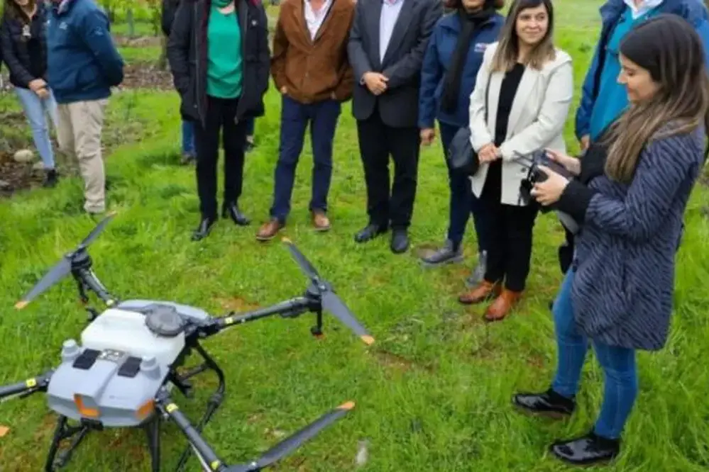 Impollinazione tramite droni: un'alternativa per la produzione di ciliegie