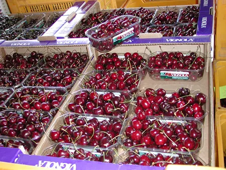 Cherry consumption on the rise in EU while production is decreasing steadily