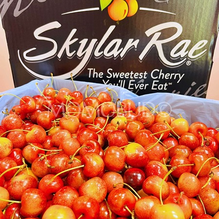 Esplorando Skylar Rae: le ciliegie premium del Gruppo Rivoira