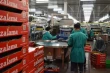 La Cina apre alle ciliegie del Jerte: via libera alle esportazioni spagnole