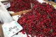 Global cherry market in crisis: production drops, prices soar