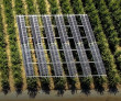 AgroPv project: semi-transparent solar panels to increase sustainability