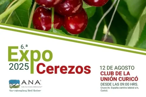 Ciliegie cilene 2024/25: varietà precoci, export in crescita e sfide future