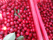 Michigan raises national sour cherry numbers, while other states record a decline