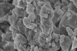 Coatings commestibili per prolungare la conservazione delle ciliegie