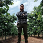 Plant types for new cherry planting systems