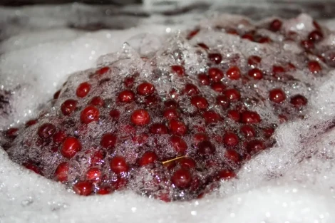 Sustainable recovery of bioactive compounds from fruit industry wastewater in Turkey