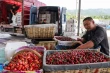 China: Cherry output grows as imports set to hit 600K tons in 2025/26