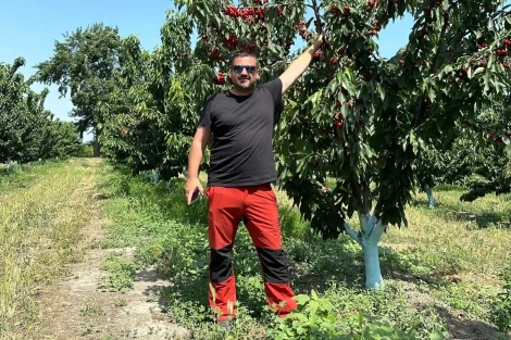 Spanish cherries 2025: extreme weather and new global markets define the season