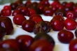 Surface pitting: una sfida post-raccolta nelle ciliegie dolci