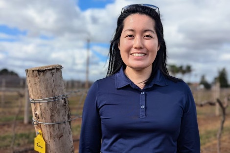 Ciliegie e clima: come le nuove varietà stanno aiutando gli agricoltori australiani