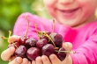 Ciliegie del Nord-Ovest USA: lo snack ideale per il ritorno a scuola