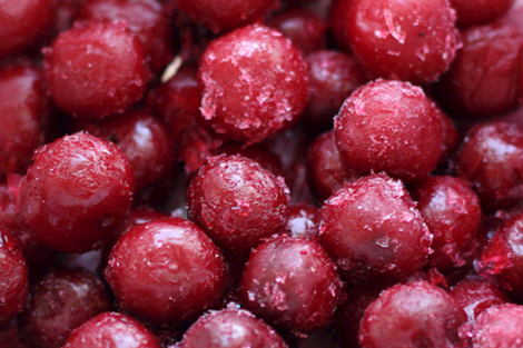 Research in Uzbekistan aims at improving cherry freezing technology