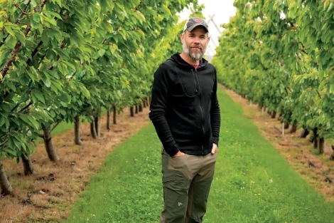 Climate change and cherries: strategies from USA, China, Chile and Portugal