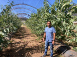 Portrait of a sweet cherry breeder: Gregorio Lopez-Ortega