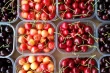 Artificial intelligence and deep learning for cherry sorting in Turkey