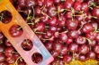 Export cherries: without consistent management, there’s no quality