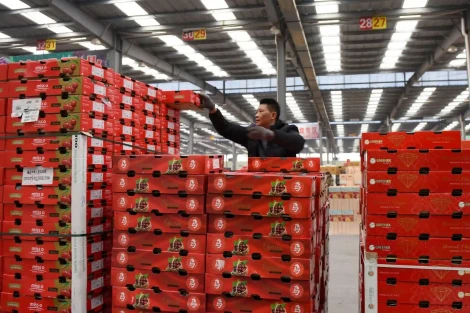 Il caso delle ciliegie cilene: logistica e export agricolo in America Latina