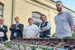 Verona cherries 2025: season closes with quality and climate challenges