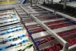 Green Pack, tecnologia e qualità per proteggere la reputazione delle ciliegie cilene