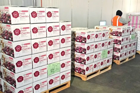 New Zealand's cherry industry sees record-breaking export season