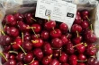 Cherries in Chile: production costs and strategies from Ñuble to Los Lagos