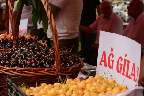 Azerbaijan's cherry exports down 35% in first seven months of 2025