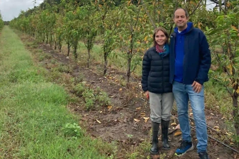 Jujuy leads the way: South America's first fresh cherries harvested in September