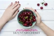 Mountain Cherry: Aragón’s sustainable excellence in premium cherry and plum production
