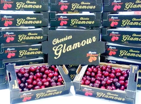 Ciliegie da €300/kg: il fenomeno Cherries Glamour che sta spopolando nei mercati di lusso