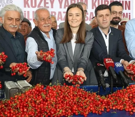 The first season to start is Turkish: high yields and quality are expected