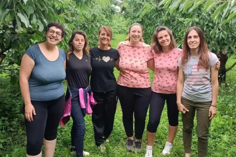 Vignola bets on under-50 farmers to save the future of its cherry heritage and traditions