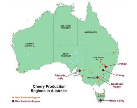 Stagione australiana al via, l’ombra di qualche gelata notturna non spazza via i buoni auspici