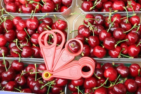 Nutrizione delle ciliegie: come aumentare qualità, calibro e resistenza al cracking