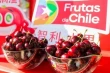 Chilean cherries, a global success: record exports overtake Argentina