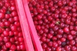 Predictive models for sour cherry processing: advanced research from Ukraine