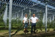 Cherries and solar panels: a Swiss farmer from Egnach innovates agriculture