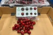 Chilean cherries land in New York, kicking off 2025-26 season with premium quality