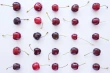 Cherry CO: a public dataset for cherry detection and segmentation