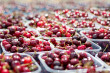 The 2024/25 season bodes well for Australian cherries